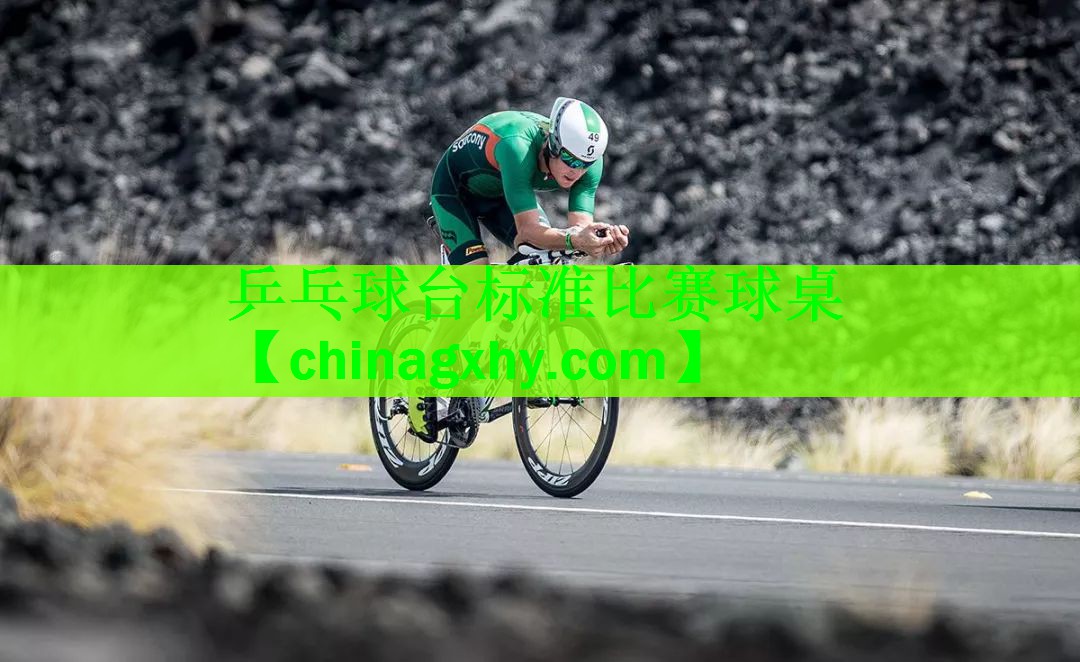 乒乓球台标准比赛球桌