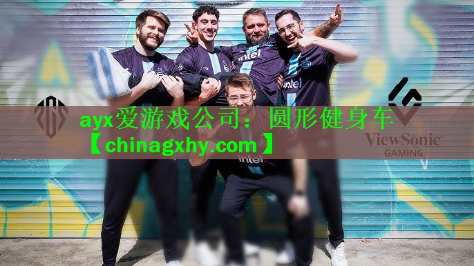 ayx爱游戏公司：圆形健身车