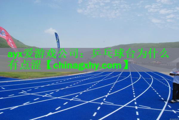 <strong>ayx爱游戏公司：乒乓球台为什么有点涩</strong>