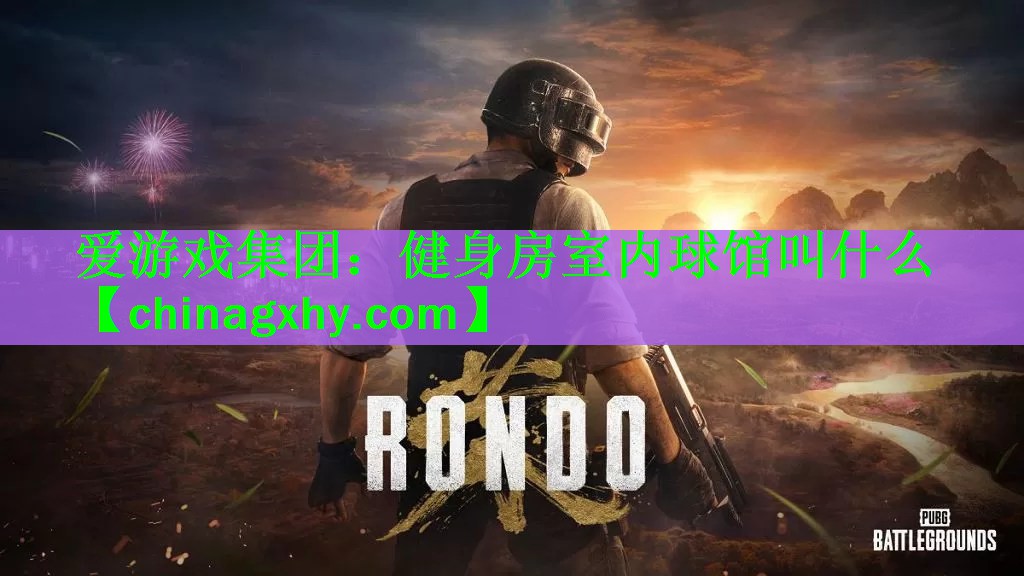 爱游戏集团：健身房室内球馆叫什么