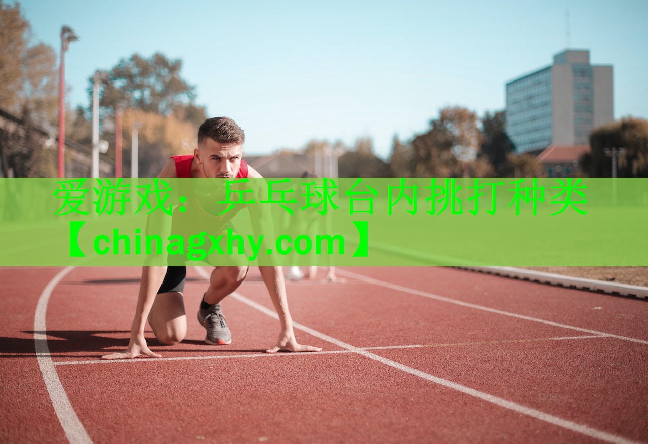 爱游戏：乒乓球台内挑打种类