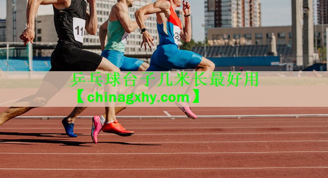 乒乓球台子几米长最好用