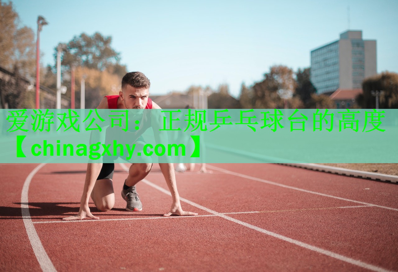 <strong>爱游戏公司：正规乒乓球台的高度</strong>