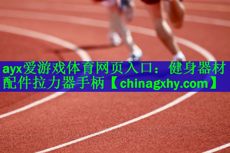 <strong>ayx爱游戏体育网页入口：健身器材配件拉力器手柄</strong>