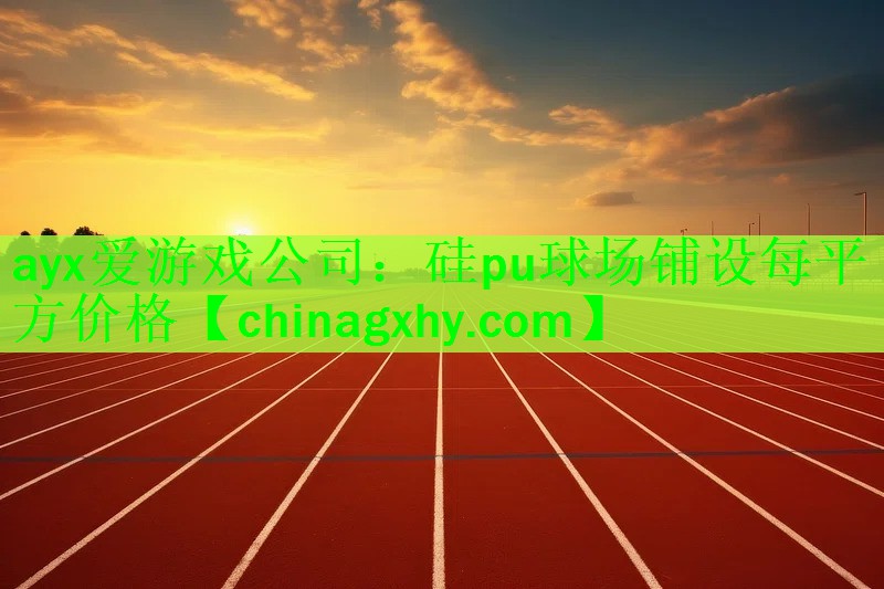 ayx爱游戏公司：硅pu球场铺设每平方价格