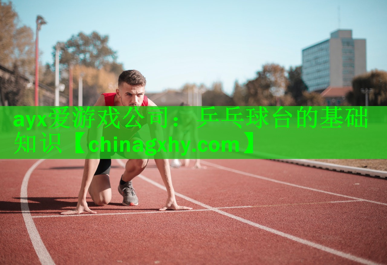 <strong>ayx爱游戏公司：乒乓球台的基础知识</strong>