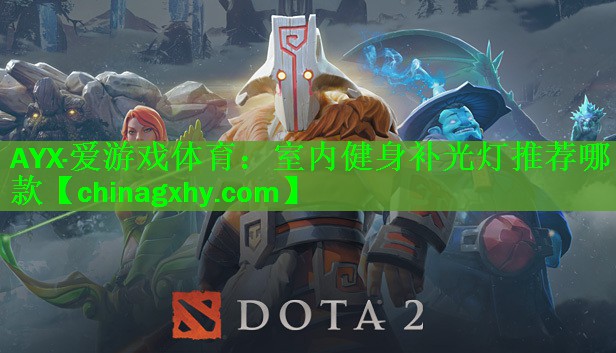 AYX·爱游戏体育：室内健身补光灯推荐哪款
