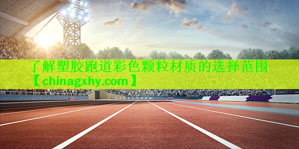 <strong>了解塑胶跑道彩色颗粒材质的选择范围</strong>