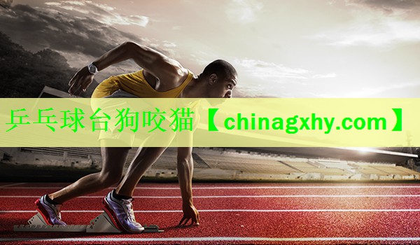 乒乓球台狗咬猫