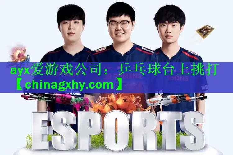 ayx爱游戏公司：乒乓球台上挑打