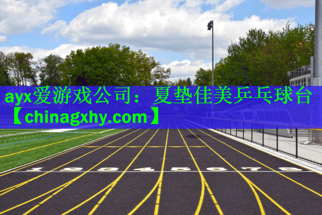 ayx爱游戏公司：夏垫佳美乒乓球台
