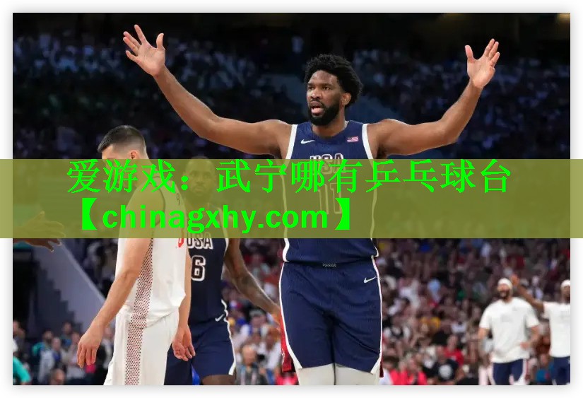 爱游戏：武宁哪有乒乓球台