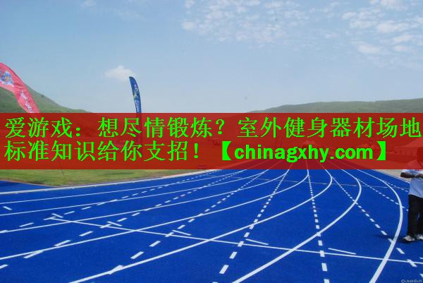 <strong>爱游戏：想尽情锻炼？室外健身器材场地标准知识给你支招！</strong>