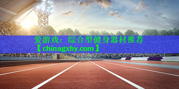 爱游戏：综合型健身器材推荐