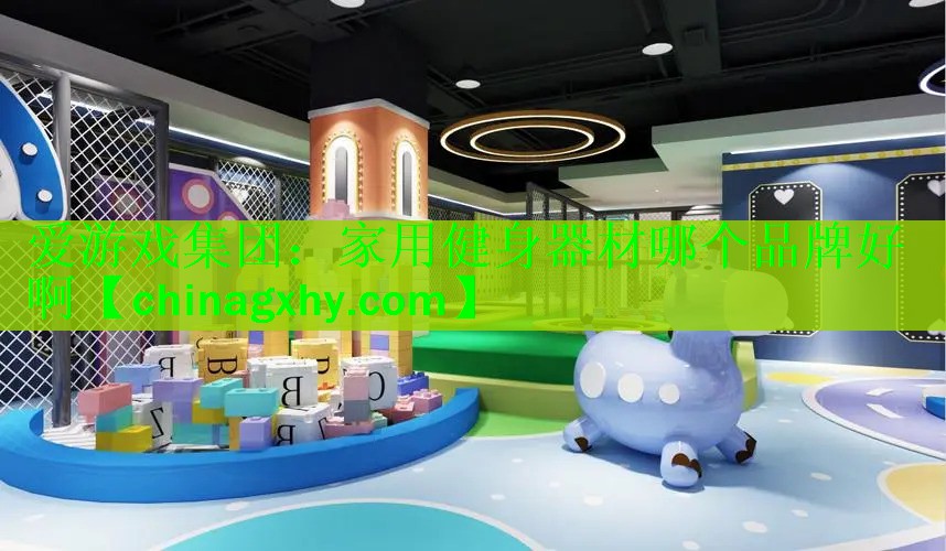 爱游戏集团：家用健身器材哪个品牌好啊