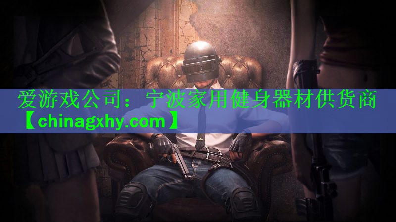 爱游戏公司：宁波家用健身器材供货商