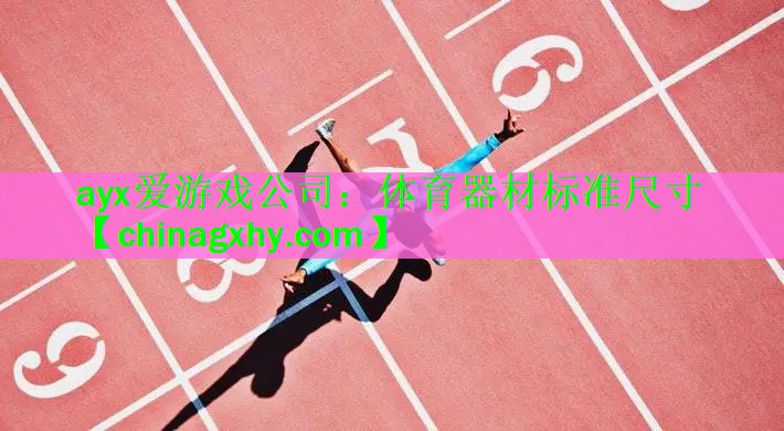 ayx爱游戏公司：体育器材标准尺寸