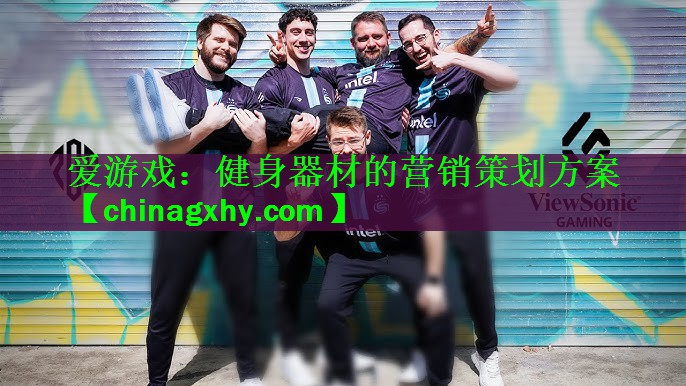 爱游戏：健身器材的营销策划方案