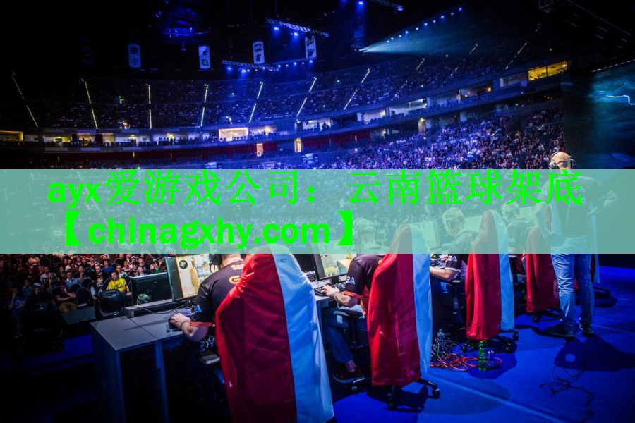 <strong>ayx爱游戏公司：云南篮球架底</strong>