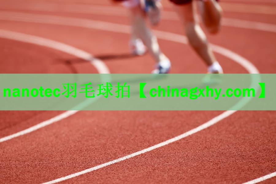 nanotec羽毛球拍