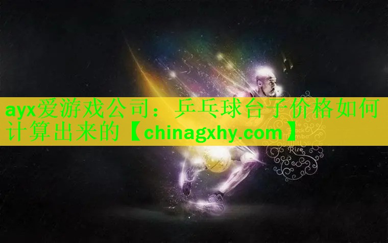 <strong>ayx爱游戏公司：乒乓球台子价格如何计算出来的</strong>