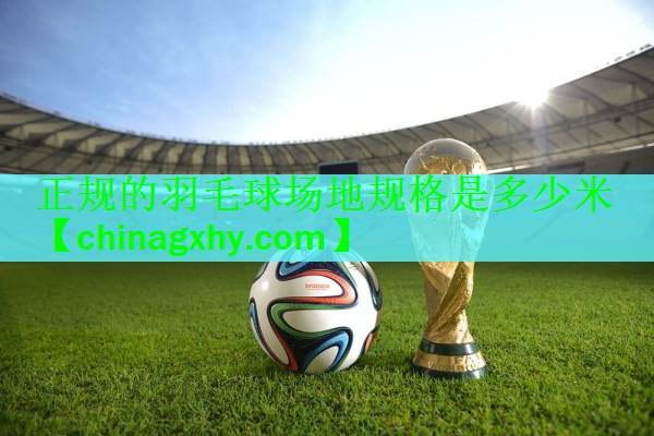 <strong>正规的羽毛球场地规格是多少米</strong>