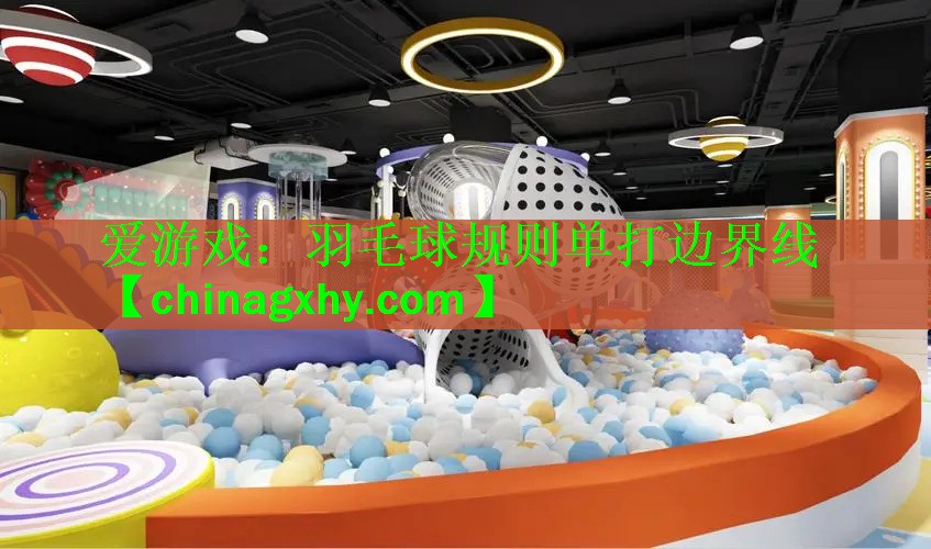 爱游戏：羽毛球规则单打边界线