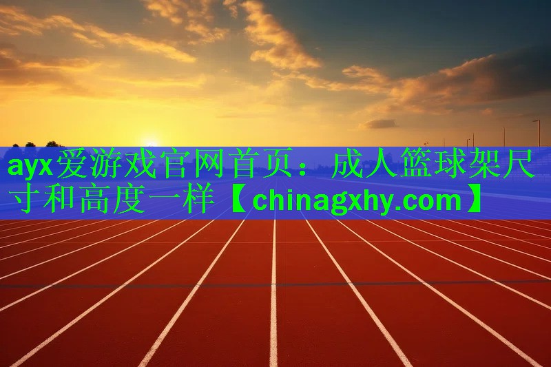 <strong>ayx爱游戏官网首页：成人篮球架尺寸和高度一样</strong>