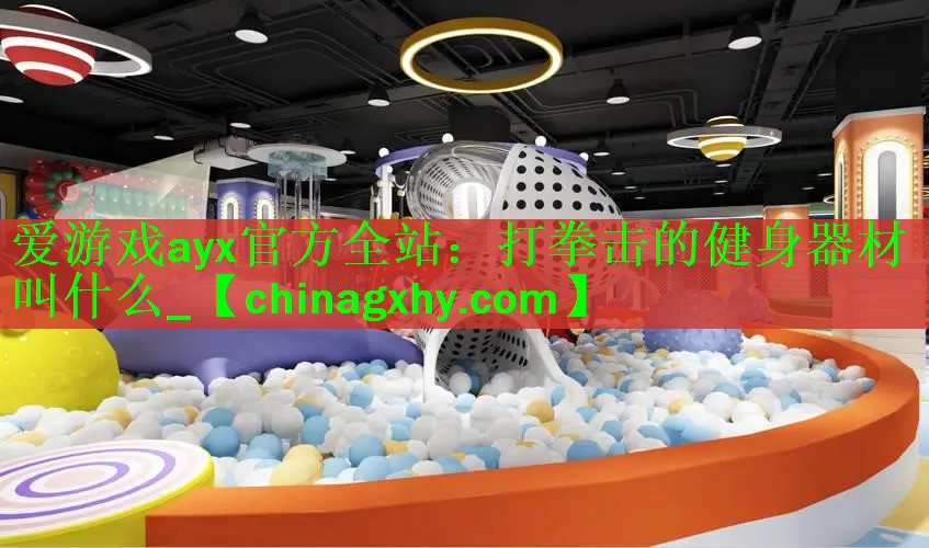 爱游戏ayx官方全站：打拳击的健身器材叫什么_