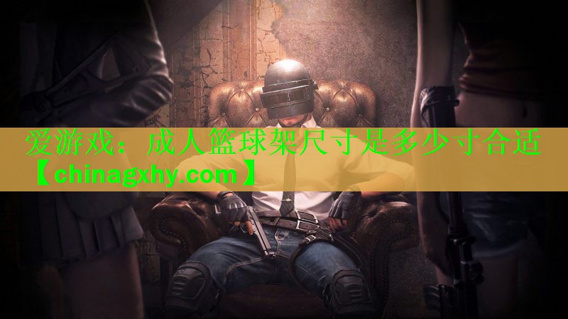 <strong>爱游戏：成人篮球架尺寸是多少寸合适</strong>