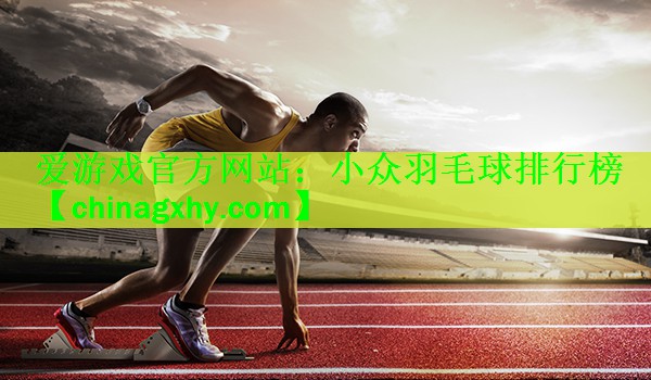 <strong>爱游戏官方网站：小众羽毛球排行榜</strong>