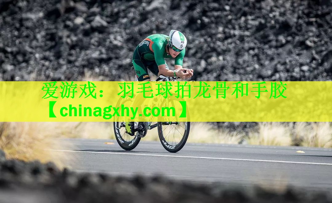<strong>爱游戏：羽毛球拍龙骨和手胶</strong>