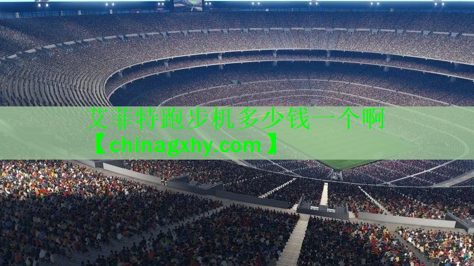 艾菲特跑步机多少钱一个啊