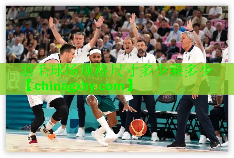 <strong>羽毛球场规格尺寸多少乘多少</strong>