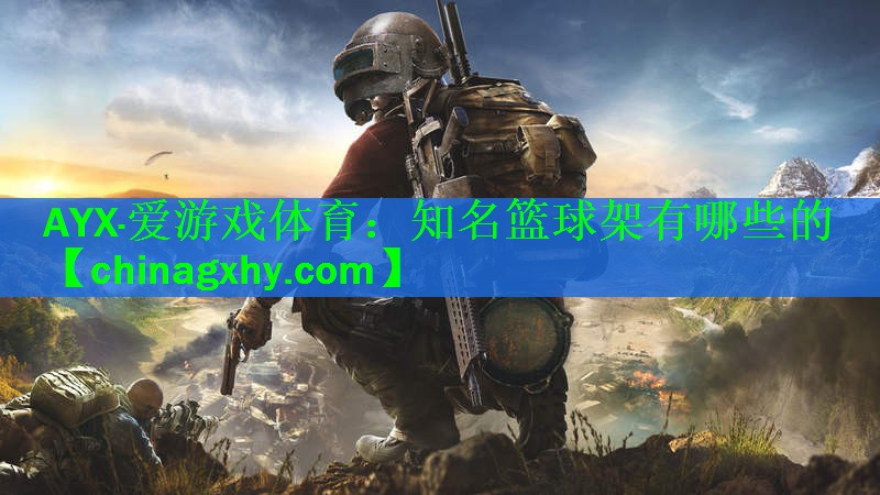 <strong>AYX·爱游戏体育：知名篮球架有哪些的</strong>
