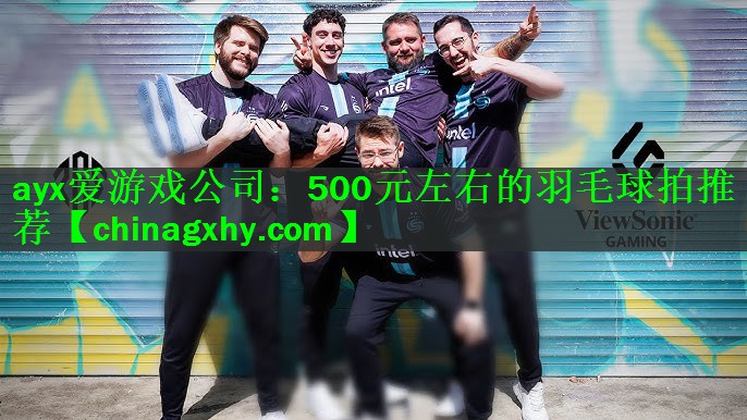 ayx爱游戏公司：500元左右的羽毛球拍推荐