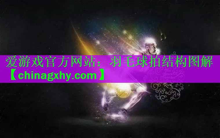 爱游戏官方网站：羽毛球拍结构图解