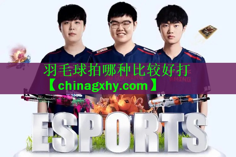 羽毛球拍哪种比较好打
