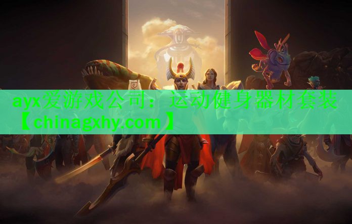 <strong>ayx爱游戏公司：运动健身器材套装</strong>