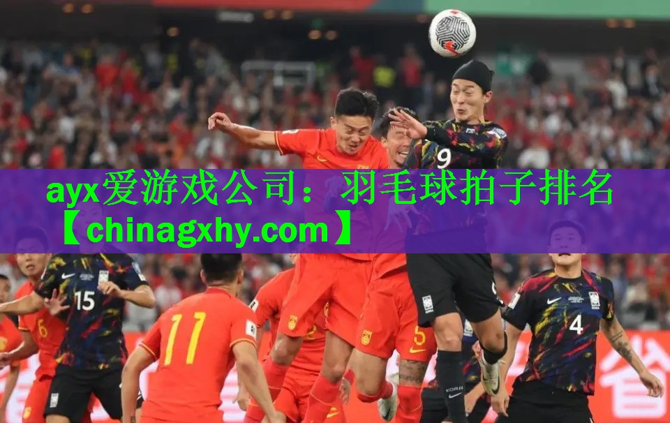 ayx爱游戏公司：羽毛球拍子排名