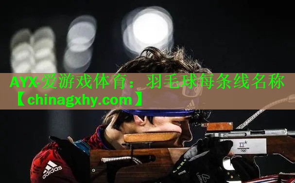 <strong>AYX·爱游戏体育：羽毛球每条线名称</strong>