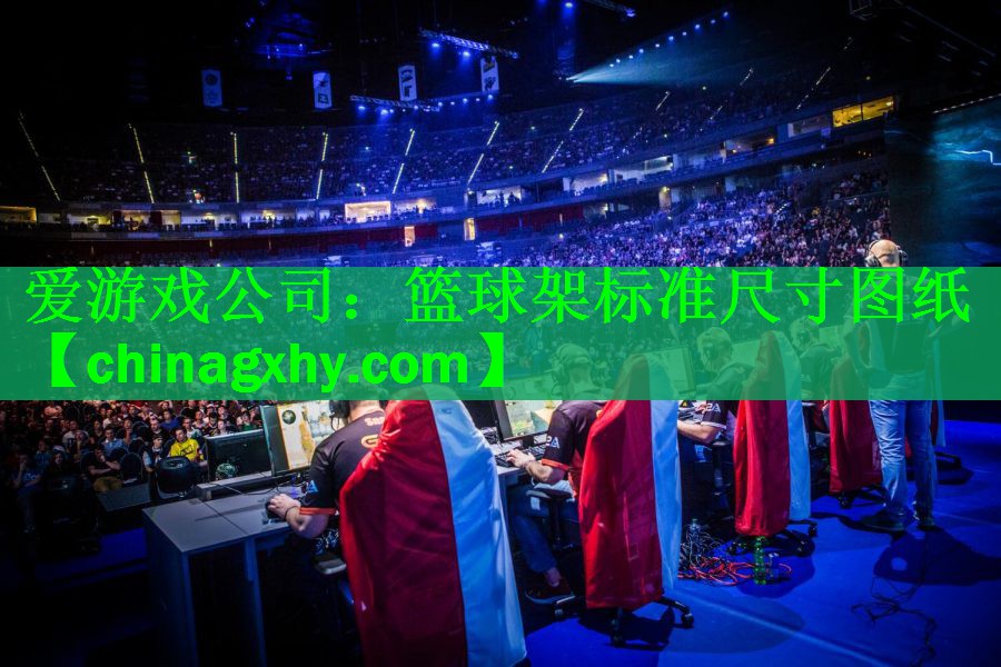 爱游戏公司：篮球架标准尺寸图纸