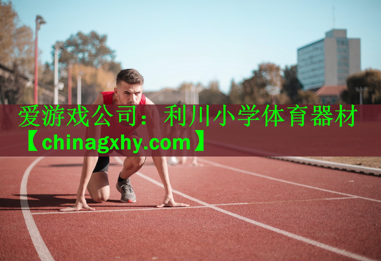 <strong>爱游戏公司：利川小学体育器材</strong>