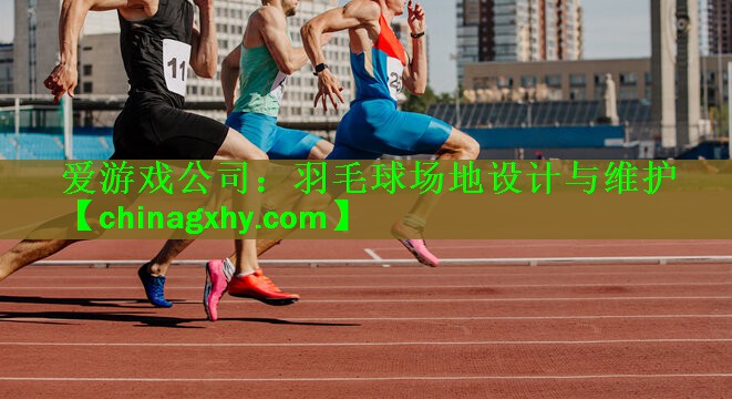 <strong>爱游戏公司：羽毛球场地设计与维护</strong>