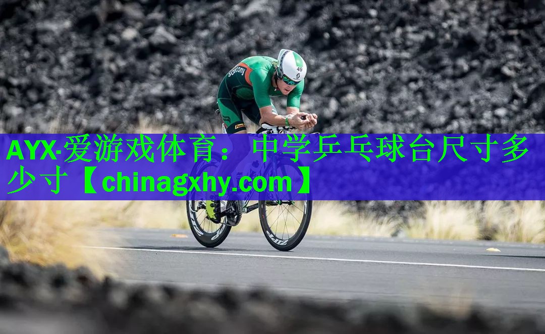 中学乒乓球台尺寸多少寸