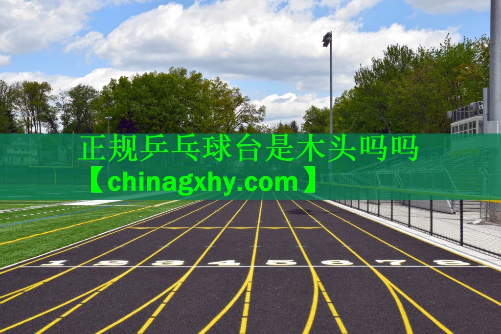正规乒乓球台是木头吗吗