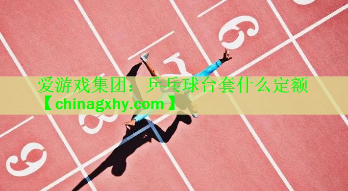 乒乓球台套什么定额