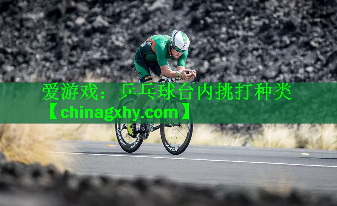 乒乓球台内挑打种类