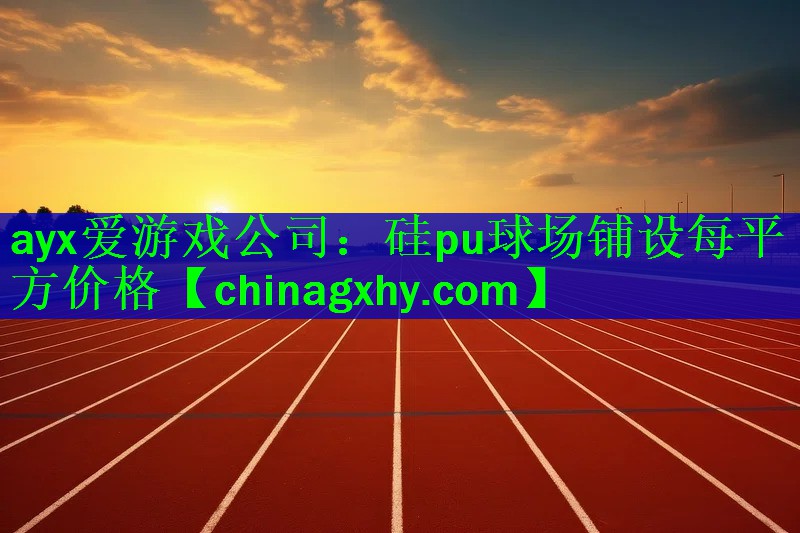 硅pu球场铺设每平方价格