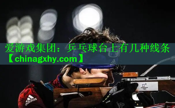乒乓球台上有几种线条